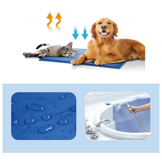 Dog and cat staying cool on eco-friendly cooling mat"