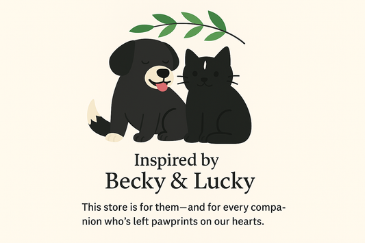 Pet Care Tips and Eco-Friendly Advice