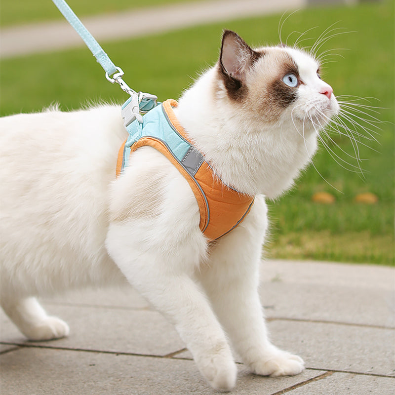 Reflective Cat Harness & Leash Set - Night Safety with Comfort Padding-1