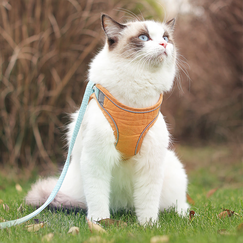 Reflective Cat Harness & Leash Set - Night Safety with Comfort Padding-2