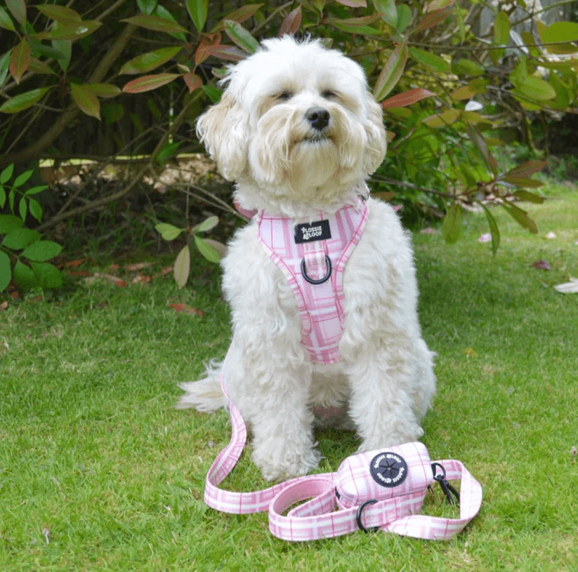 Oxford "Blush" Dog Poop Bag Holder – by Flossie & Floof-2